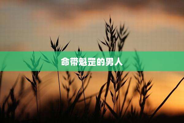 命带魁罡的男人