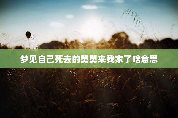 梦见自己死去的舅舅来我家了啥意思
