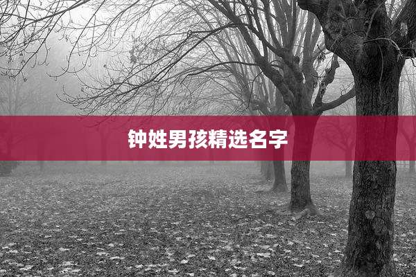 钟姓男孩精选名字