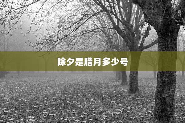 除夕是腊月多少号