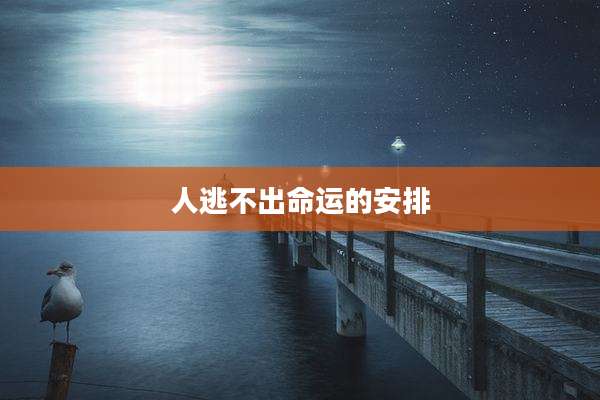 人逃不出命运的安排