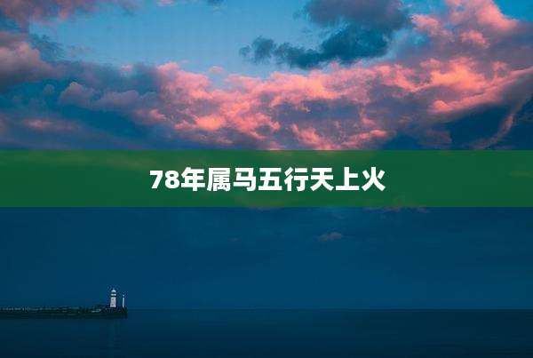 78年属马五行天上火