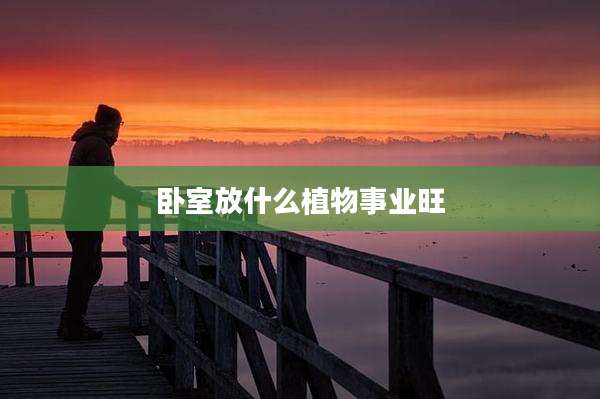 卧室放什么植物事业旺