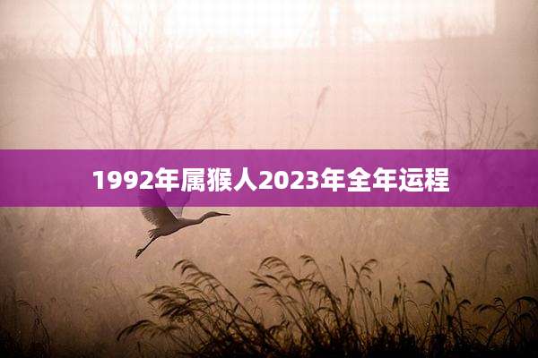 1992年属猴人2023年全年运程