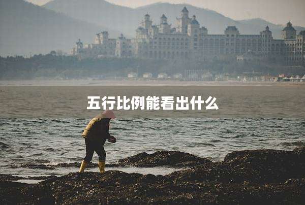 五行比例能看出什么