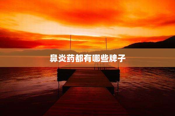 鼻炎药都有哪些牌子