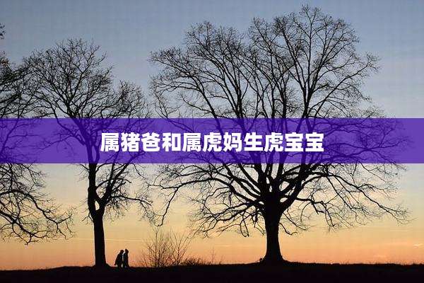 属猪爸和属虎妈生虎宝宝