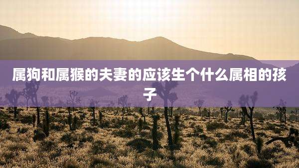 属狗和属猴的夫妻的应该生个什么属相的孩子