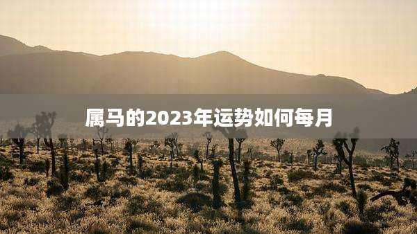 属马的2023年运势如何每月