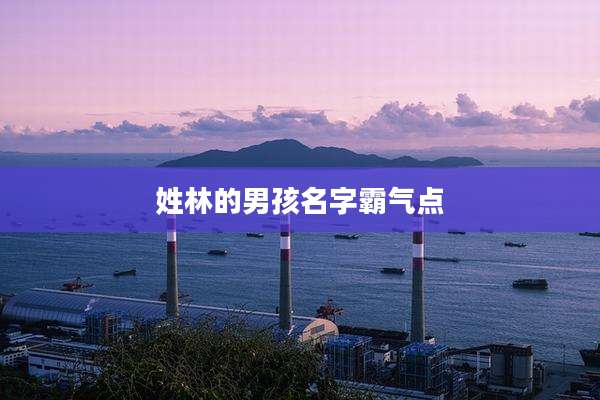 姓林的男孩名字霸气点