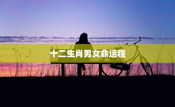十二生肖男女命运程