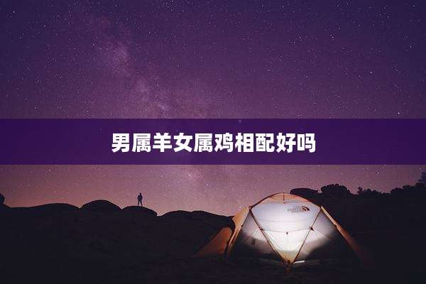 男属羊女属鸡相配好吗