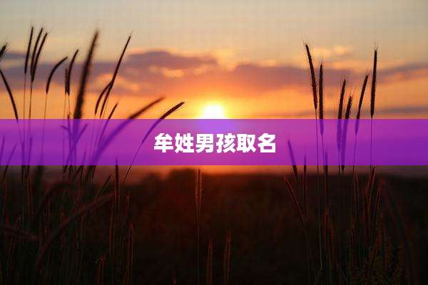 牟姓男孩取名