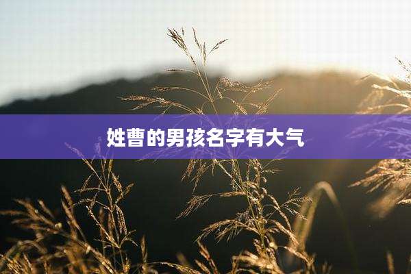 姓曹的男孩名字有大气