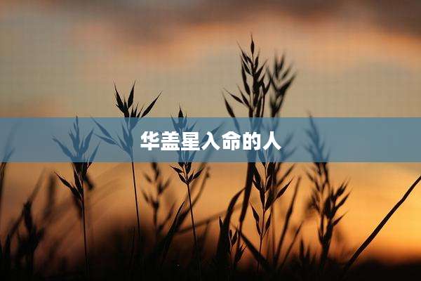 华盖星入命的人
