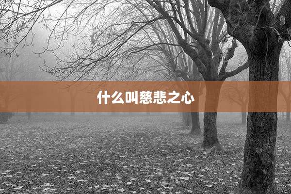 什么叫慈悲之心