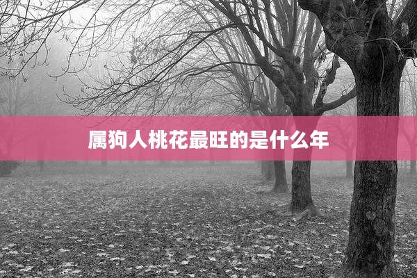 属狗人桃花最旺的是什么年