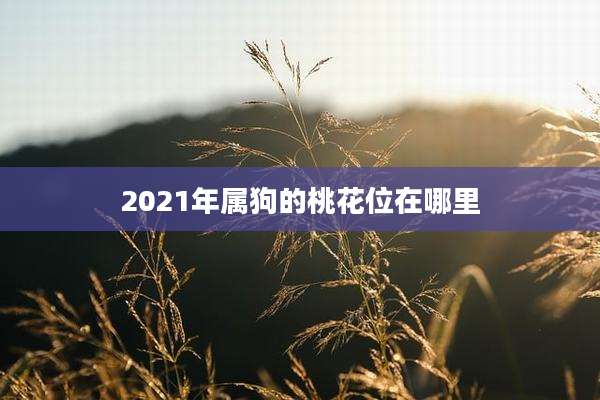 2021年属狗的桃花位在哪里