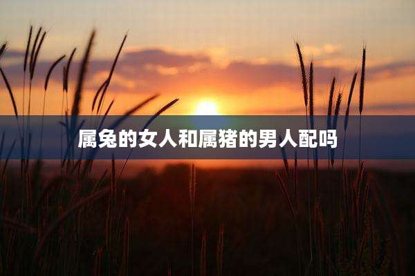 属兔的女人和属猪的男人配吗