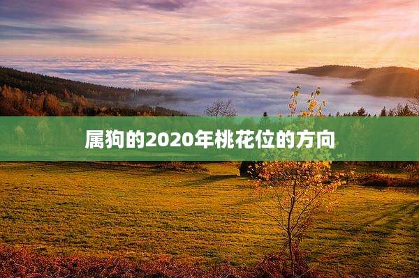 属狗的2020年桃花位的方向