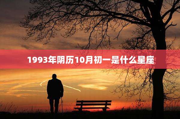 1993年阴历10月初一是什么星座