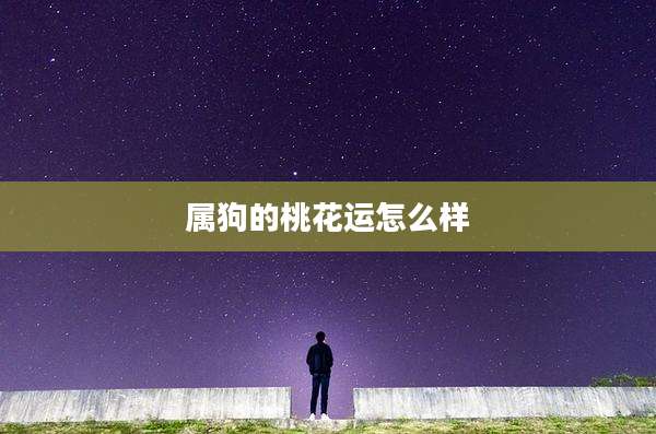 属狗的桃花运怎么样