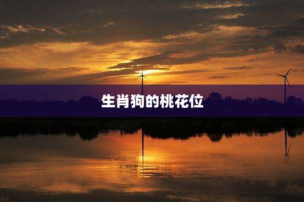 生肖狗的桃花位