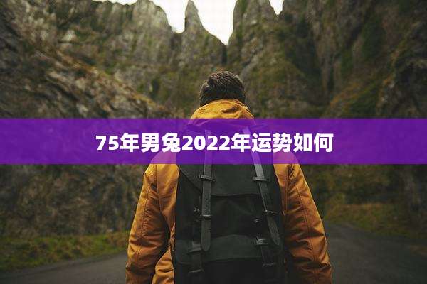 75年男兔2022年运势如何
