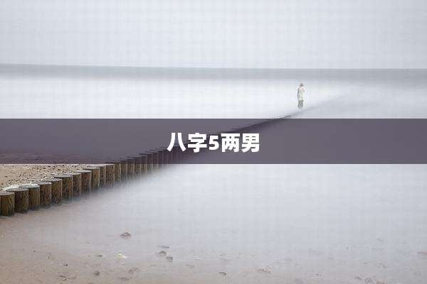 八字5两男