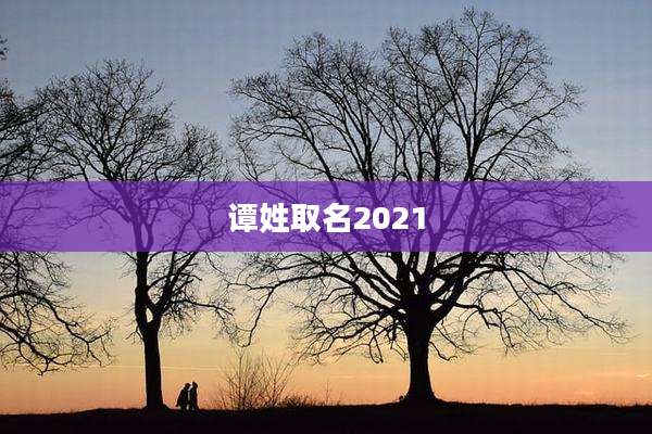 谭姓取名2021