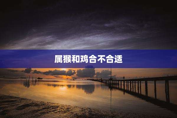 属猴和鸡合不合适