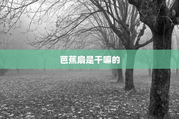 芭蕉扇是干嘛的