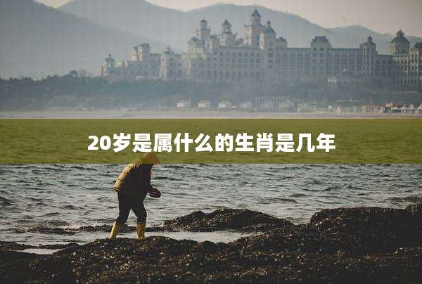 20岁是属什么的生肖是几年