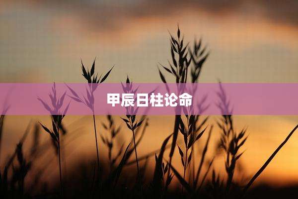 甲辰日柱论命