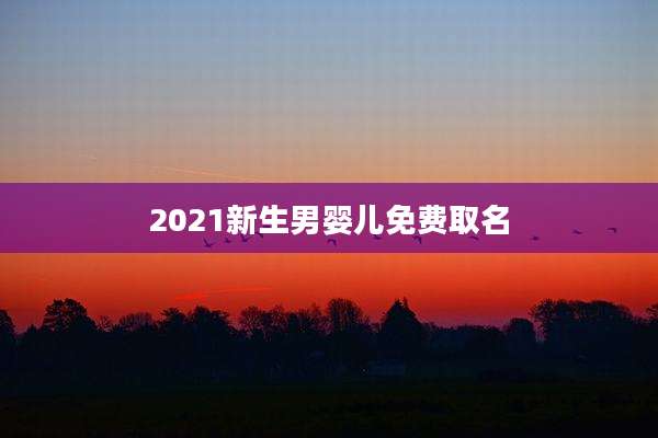 2021新生男婴儿免费取名