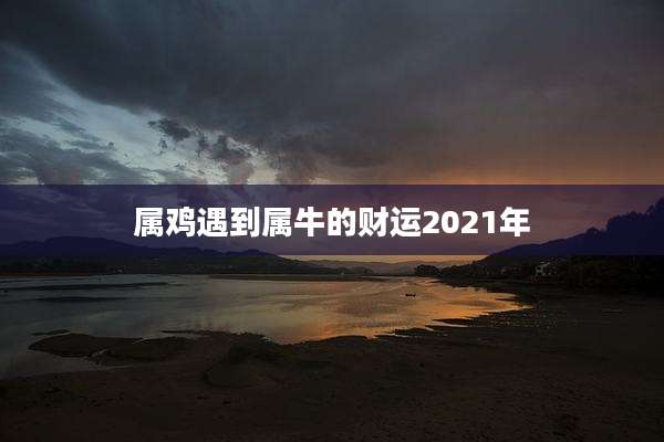 属鸡遇到属牛的财运2021年