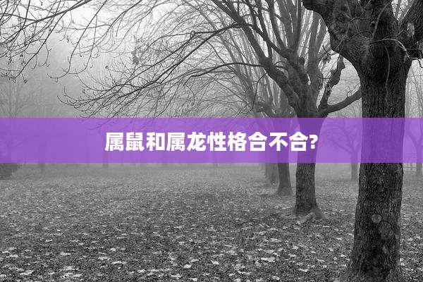 属鼠和属龙性格合不合?