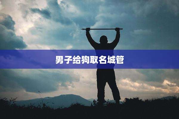 男子给狗取名城管