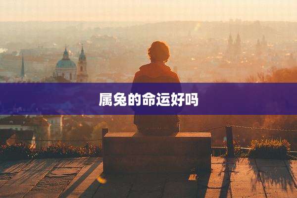 属兔的命运好吗