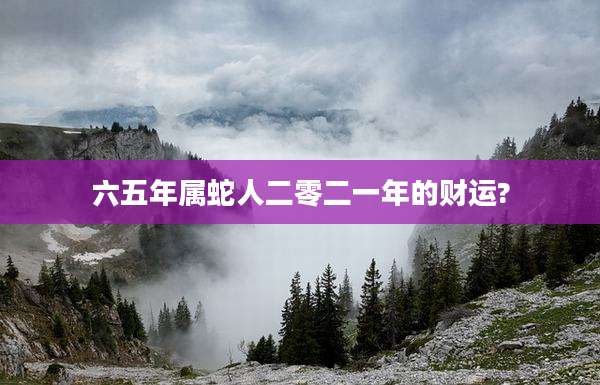 六五年属蛇人二零二一年的财运?
