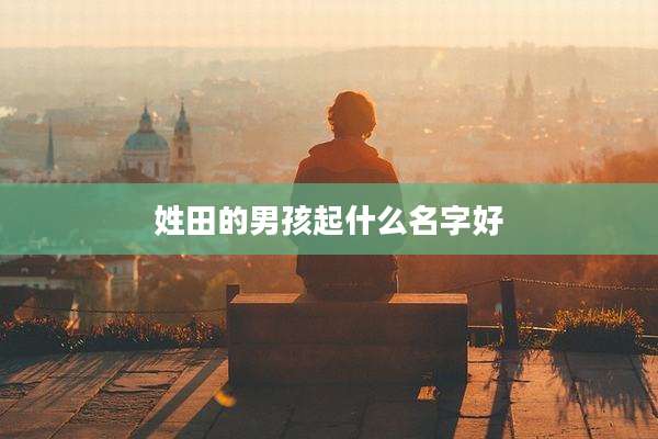 姓田的男孩起什么名字好