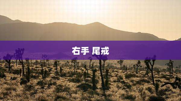 右手 尾戒