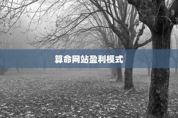 算命网站盈利模式