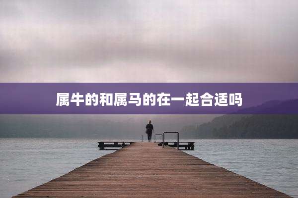 属牛的和属马的在一起合适吗