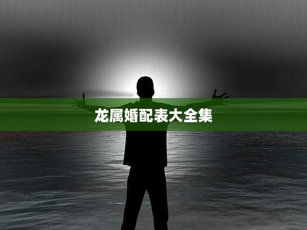 龙属婚配表大全集