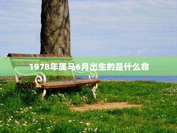 1978年属马6月出生的是什么命