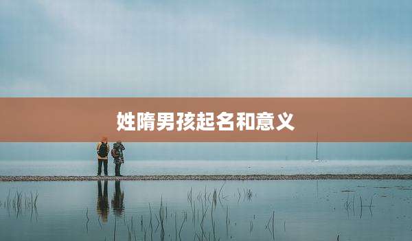 姓隋男孩起名和意义