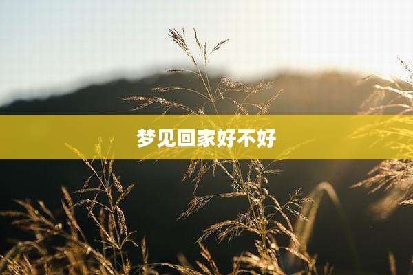 梦见回家好不好