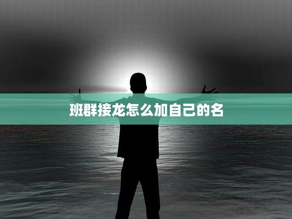 班群接龙怎么加自己的名