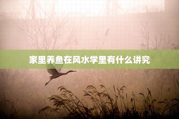 家里养鱼在风水学里有什么讲究